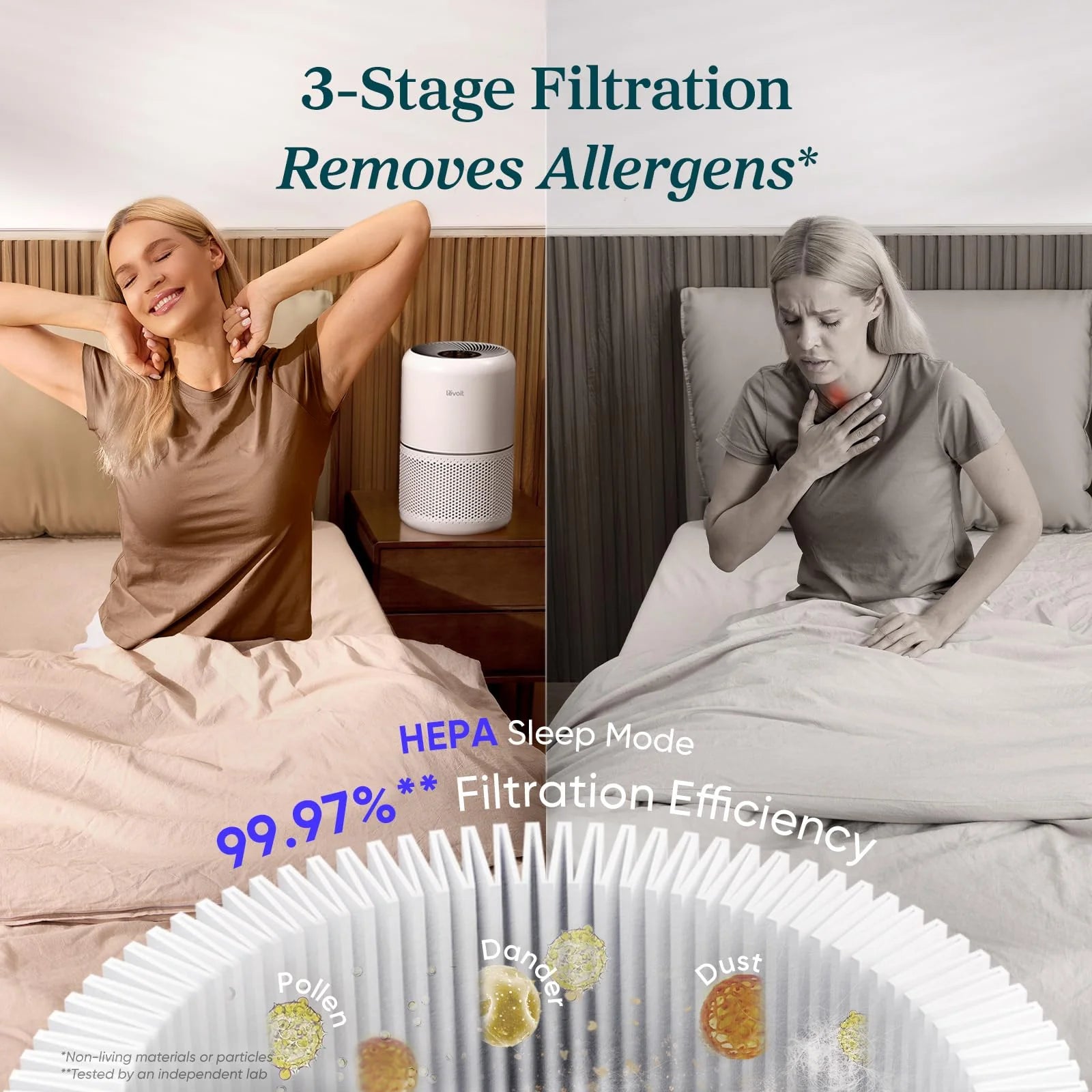 LEVOIT Core300-P Air Purifier for Home Allergens & Pets