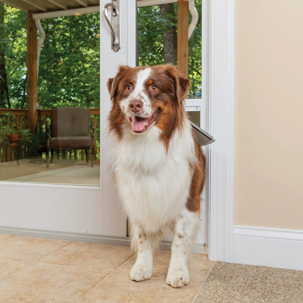 PETSAFE Sliding Glass Pet Door - No-Cut DIY Install for Renters